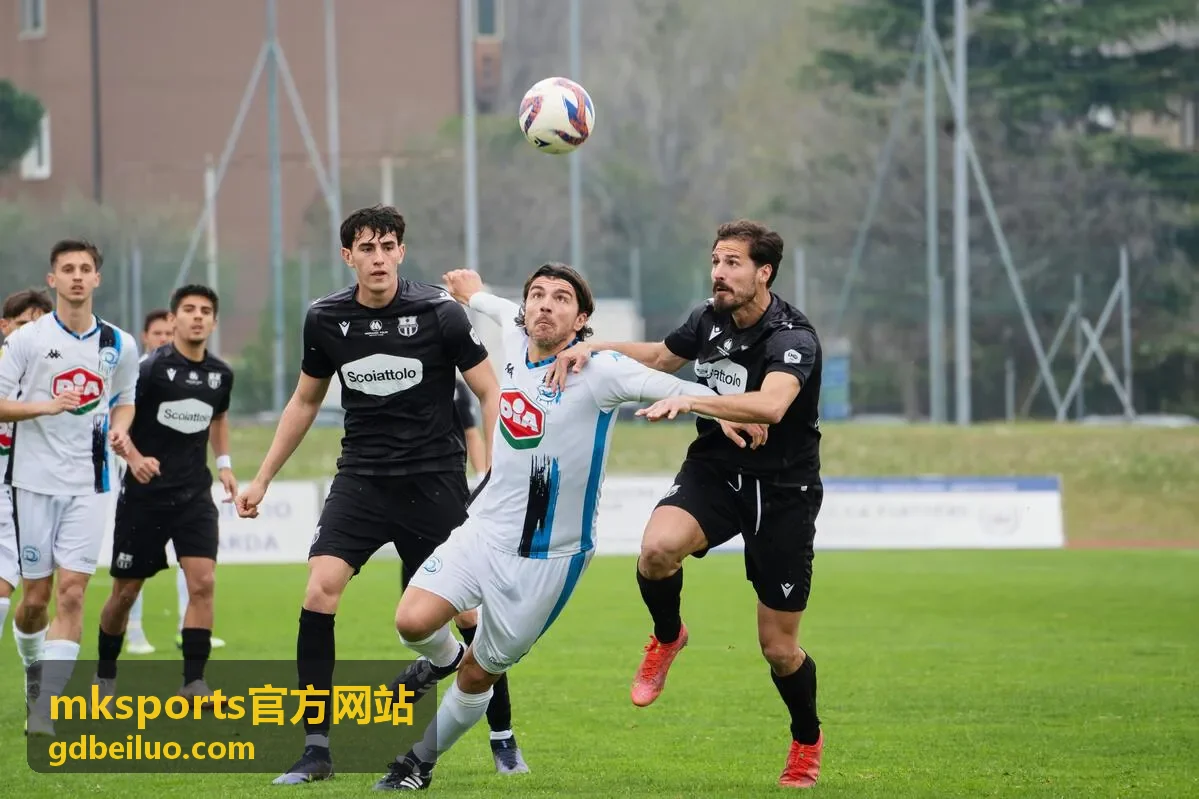 mksports官方网站赛事数据界面展示