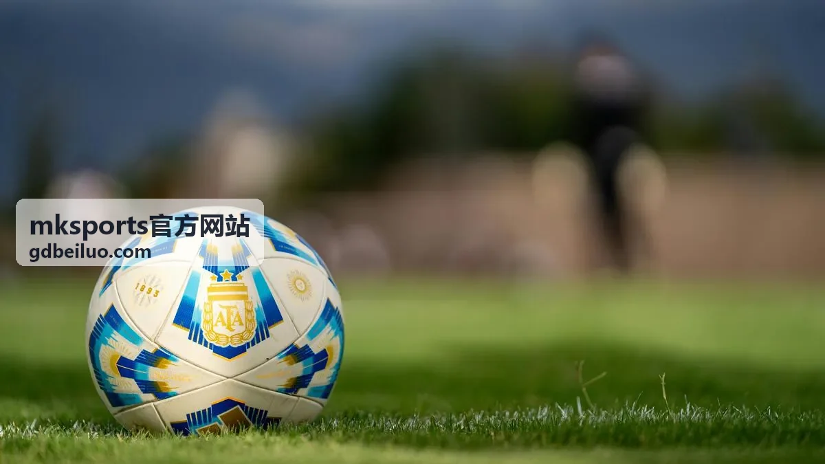 mksports官方网站赛事资讯与数据解读封面